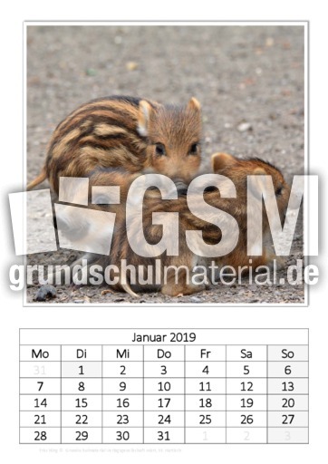 Januar_Frischling.pdf